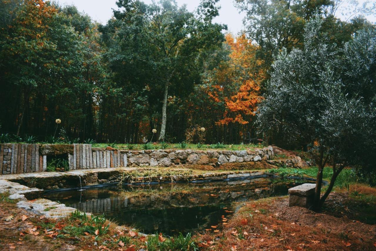 Quinta Das Fontes - Alojamento Rustico Local E Turismo Rural São Pedro do Sul المظهر الخارجي الصورة