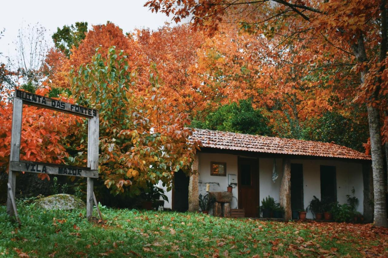 Quinta Das Fontes - Alojamento Rustico Local E Turismo Rural São Pedro do Sul المظهر الخارجي الصورة