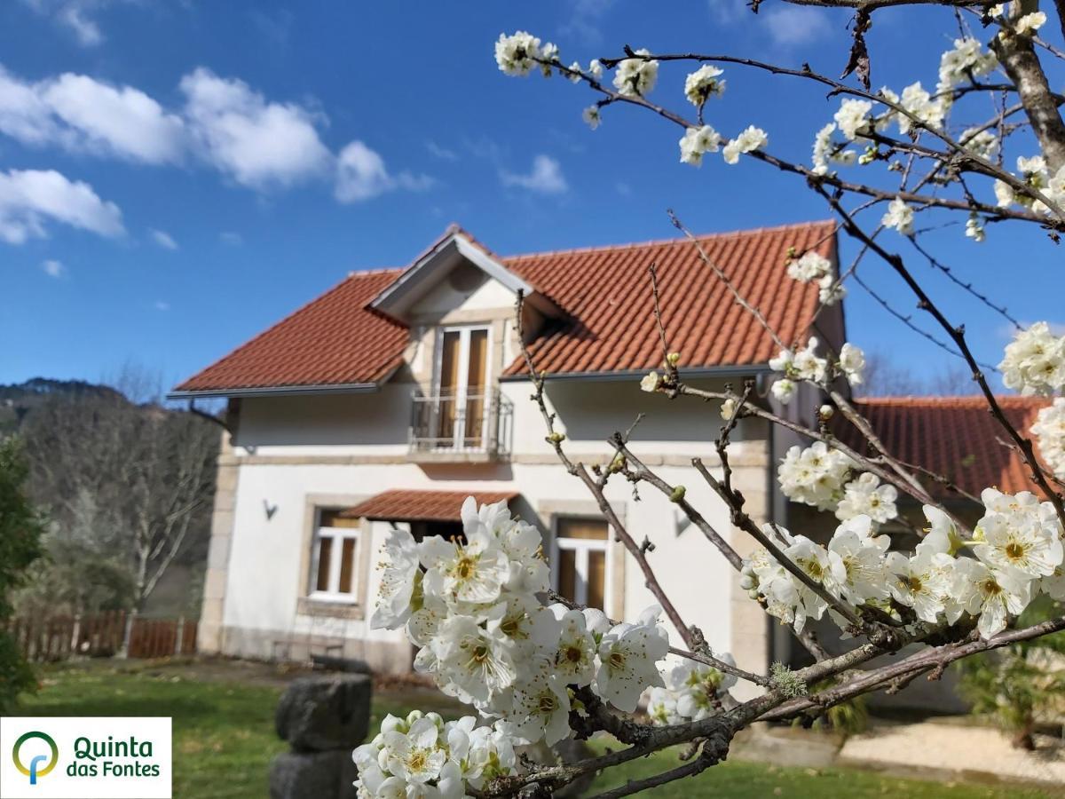 Quinta Das Fontes - Alojamento Rustico Local E Turismo Rural São Pedro do Sul المظهر الخارجي الصورة