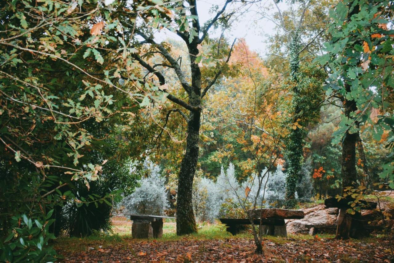 Quinta Das Fontes - Alojamento Rustico Local E Turismo Rural São Pedro do Sul المظهر الخارجي الصورة