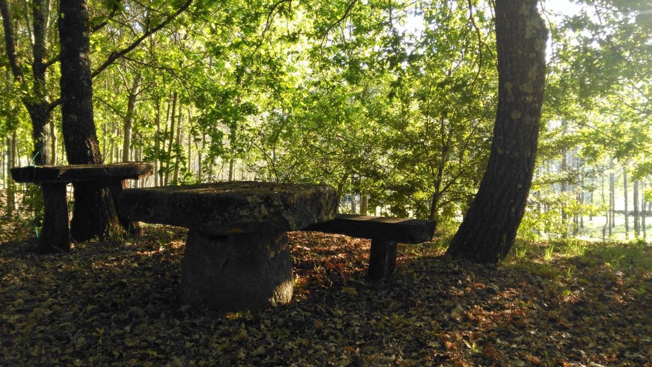 Quinta Das Fontes - Alojamento Rustico Local E Turismo Rural São Pedro do Sul المظهر الخارجي الصورة