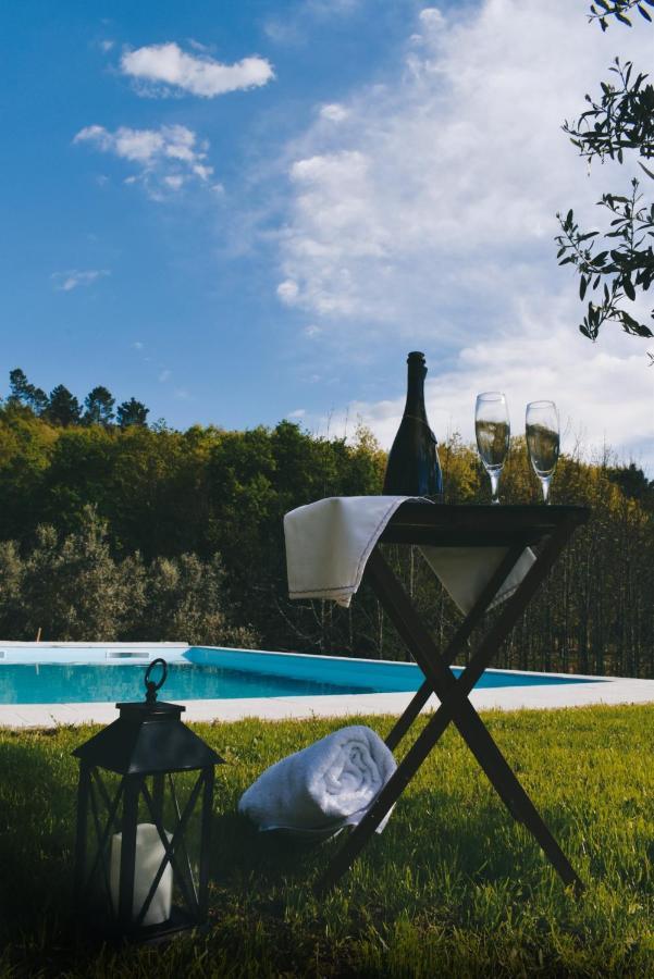 Quinta Das Fontes - Alojamento Rustico Local E Turismo Rural São Pedro do Sul المظهر الخارجي الصورة