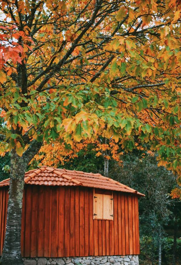 Quinta Das Fontes - Alojamento Rustico Local E Turismo Rural São Pedro do Sul المظهر الخارجي الصورة