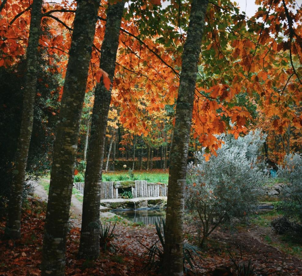 Quinta Das Fontes - Alojamento Rustico Local E Turismo Rural São Pedro do Sul المظهر الخارجي الصورة