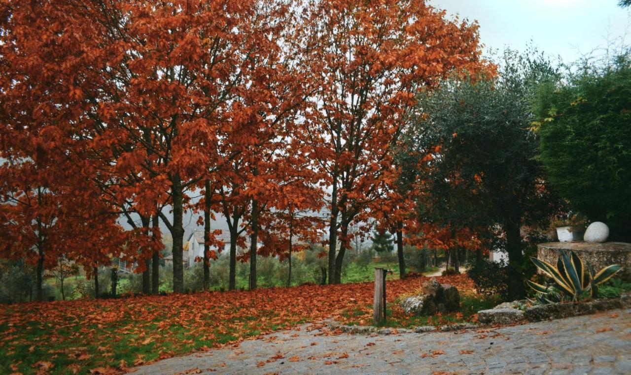 Quinta Das Fontes - Alojamento Rustico Local E Turismo Rural São Pedro do Sul المظهر الخارجي الصورة