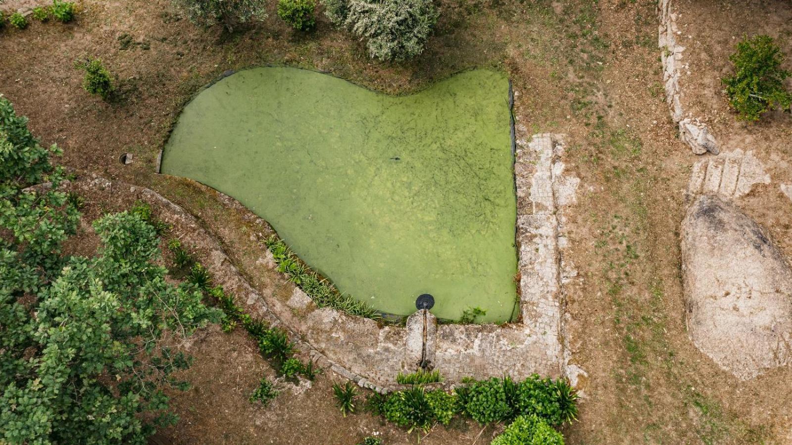 Quinta Das Fontes - Alojamento Rustico Local E Turismo Rural São Pedro do Sul المظهر الخارجي الصورة