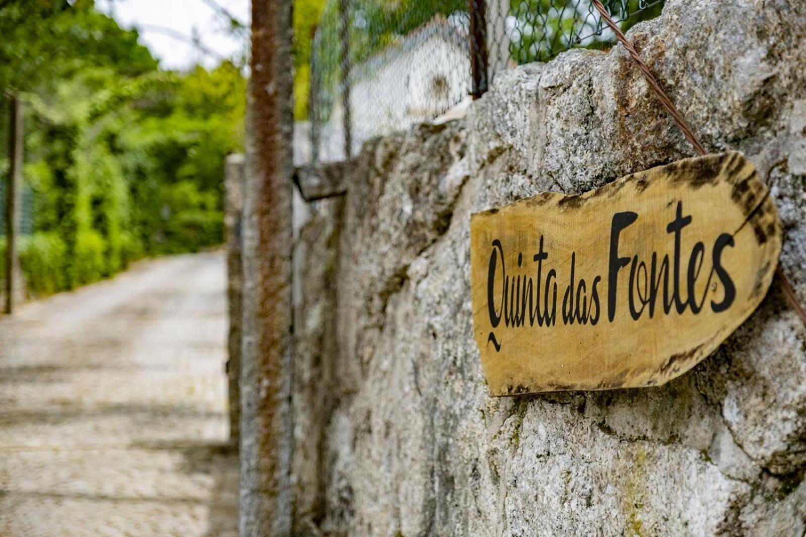 Quinta Das Fontes - Alojamento Rustico Local E Turismo Rural São Pedro do Sul المظهر الخارجي الصورة