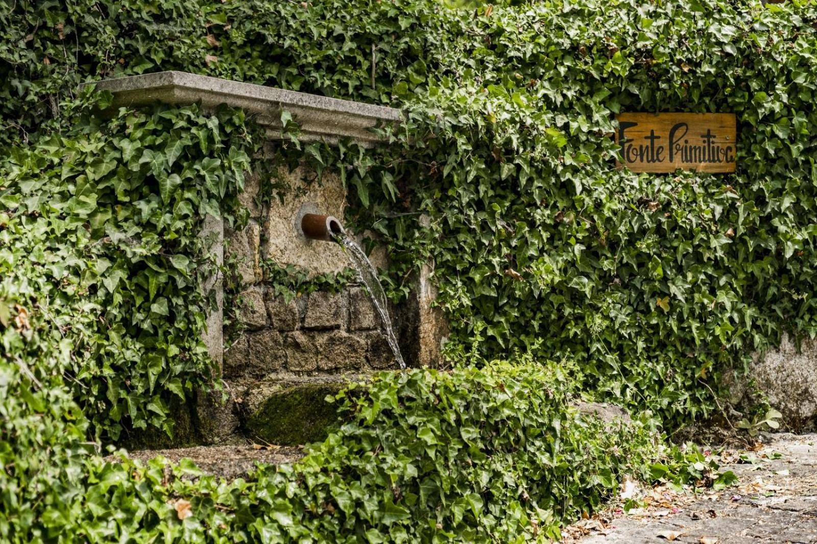 Quinta Das Fontes - Alojamento Rustico Local E Turismo Rural São Pedro do Sul المظهر الخارجي الصورة