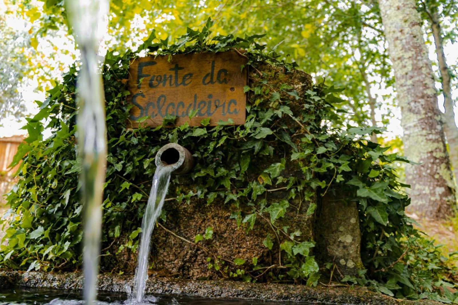 Quinta Das Fontes - Alojamento Rustico Local E Turismo Rural São Pedro do Sul المظهر الخارجي الصورة
