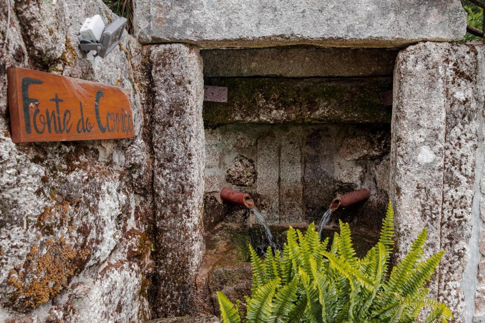 Quinta Das Fontes - Alojamento Rustico Local E Turismo Rural São Pedro do Sul المظهر الخارجي الصورة